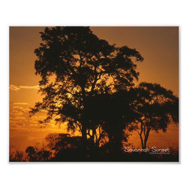 Savannah Sunset Photo Print (Front)