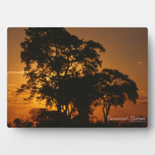 Savannah Sunset Plaque