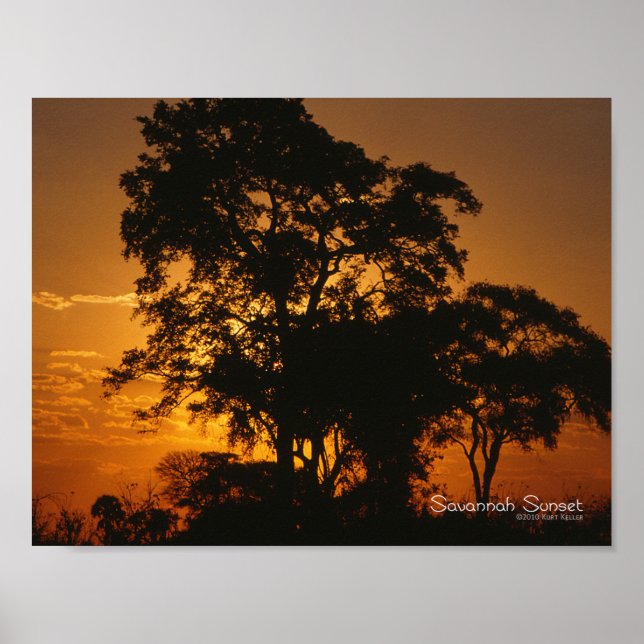 Savannah Sunset Poster (Front)