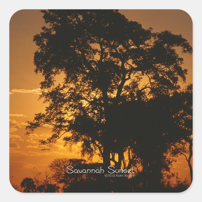 Savannah Sunset Square Sticker (Front)