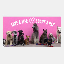 Save a Life, Adopt a Pet! Twitter Card