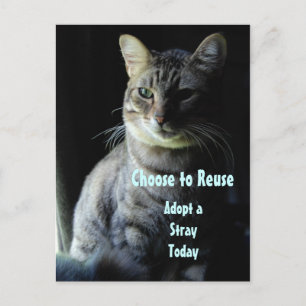 Save A Life! Adopt A Shelter Pet! Postcard