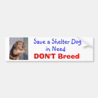 Save a Shelter Dog in Need -- Paxton Bumper Sticker