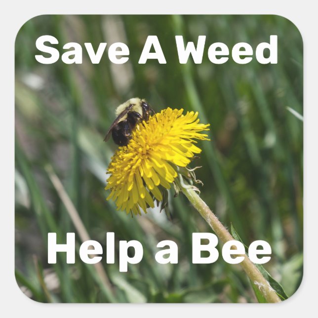 Save A Weed, Help A Bee Square Sticker (Front)