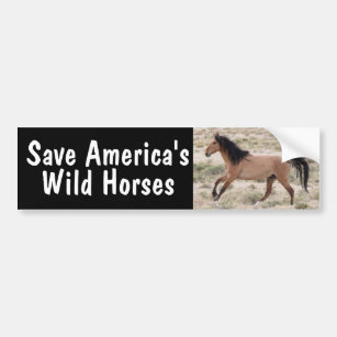 Save America's Wild Horses Bumper Sticker