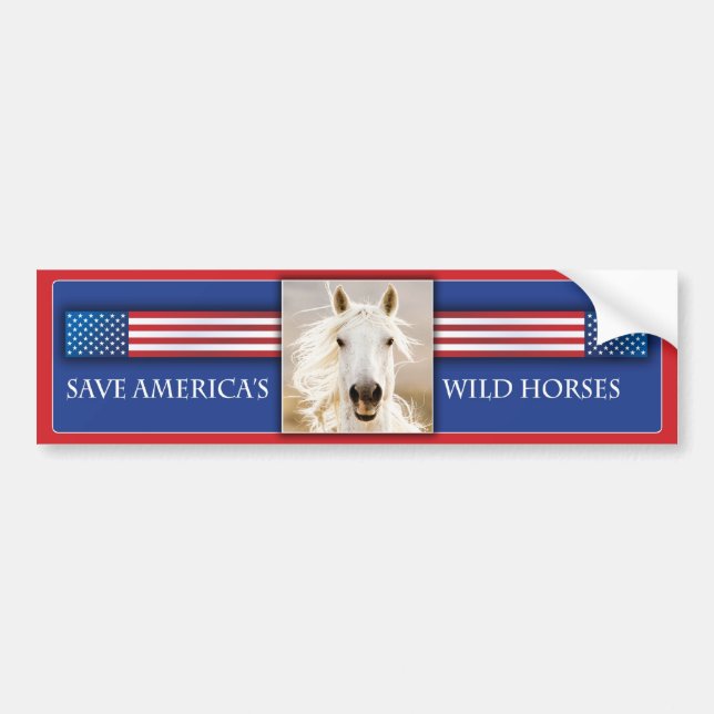 Save America's Wild Horses Bumper Sticker 2 (Front)