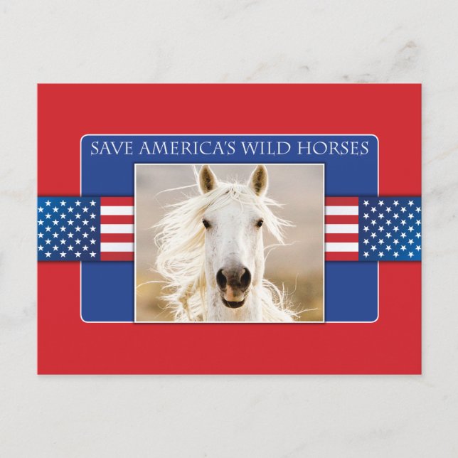 Save America's Wild Horses Postcards (Front)