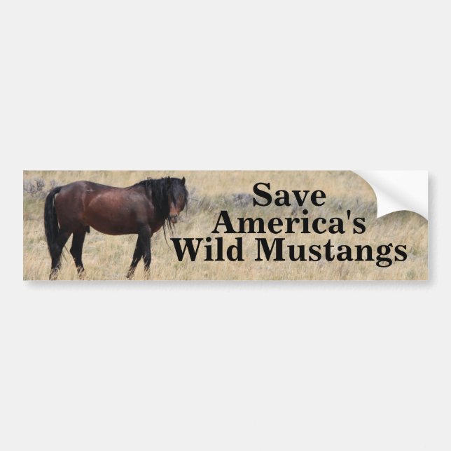 Save America's Wild Mustangs Bumper Sticker (Front)