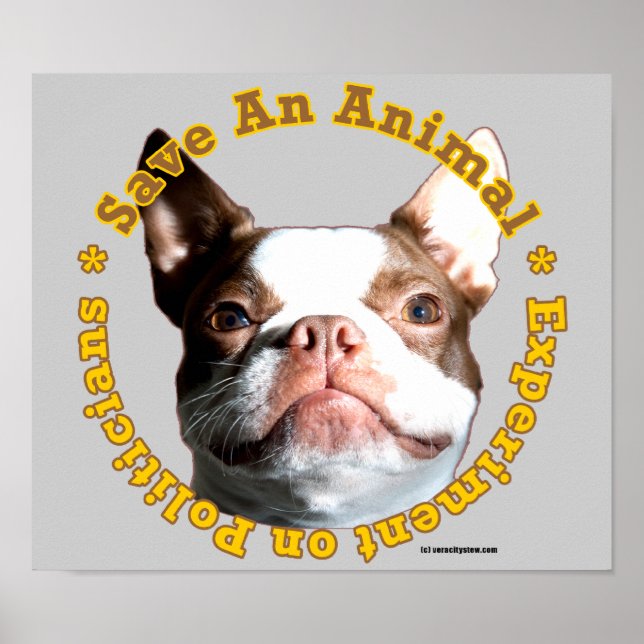 Save An Animal-Dog Poster (Front)