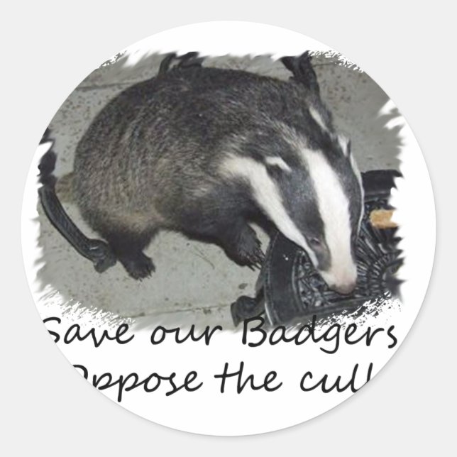 Save British Badgers, oppose the badger cull Classic Round Sticker (Front)