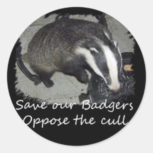 Save British Badgers, oppose the badger cull Classic Round Sticker