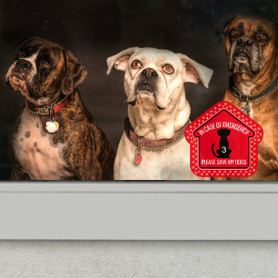 Save My Dogs Safety Alert Custom First Responder 
