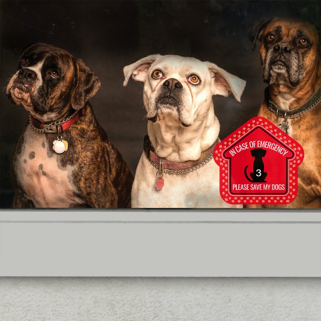 Save My Dogs Safety Alert Custom First Responder  (Creator Uploaded)