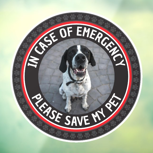 SAVE MY PET Safety Alert Custom Photo Modern  (Sheet 3)