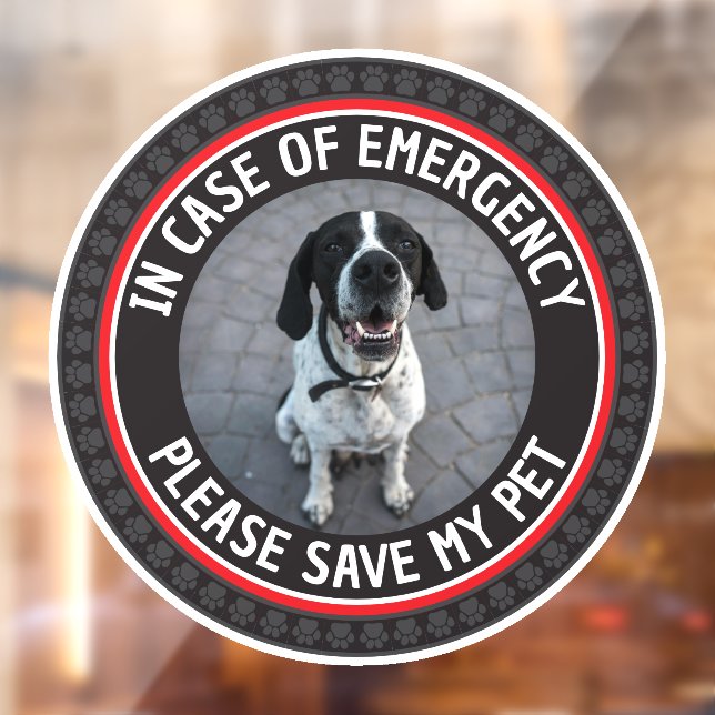 SAVE MY PET Safety Alert Custom Photo Modern  (Sheet 2)