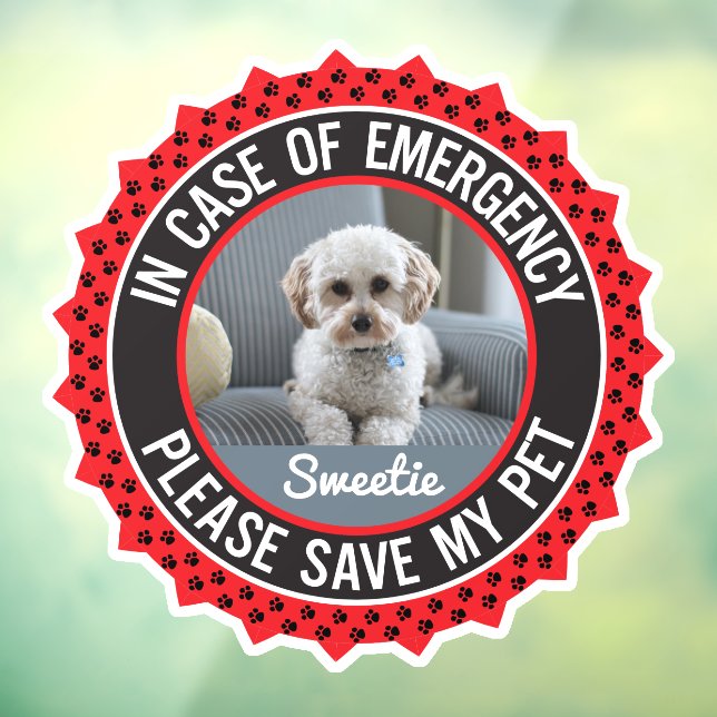 Save My Pet Safety Alert Name Photo Custom Colour (Sheet 3)