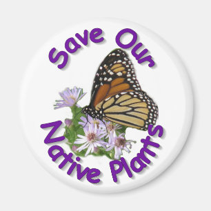 Save Native Asters Monarch Magnet