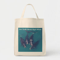 Save North Atlantic Right Whales by RoseWrites