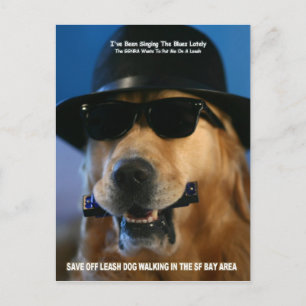 Save Off-Leash Dog Walking Congresswoman Pelosi Postcard