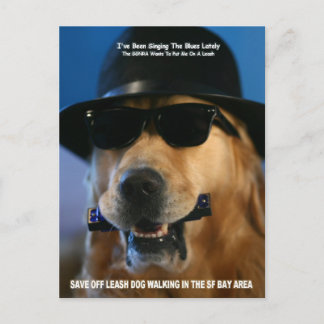 Save Off-Leash Dog Walking Senator Feinstein Postcard