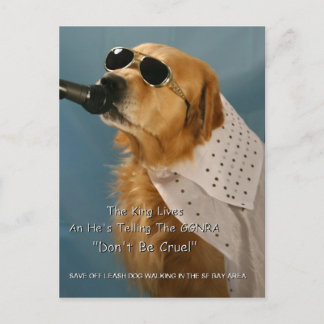 Save Off-Leash Dog Walking Senator Feinstein Postcard