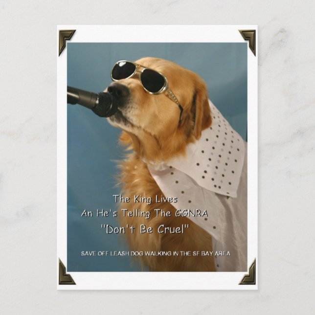 Save Off-Leash Dog Walking Senator Feinstein Postcard (Front)