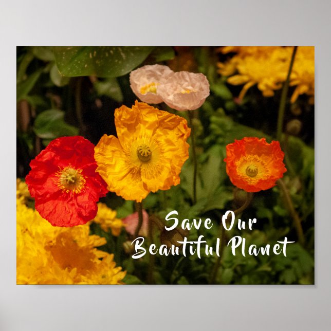 Save Our Beautiful Planet Pretty Bright Flowers Poster (Front)