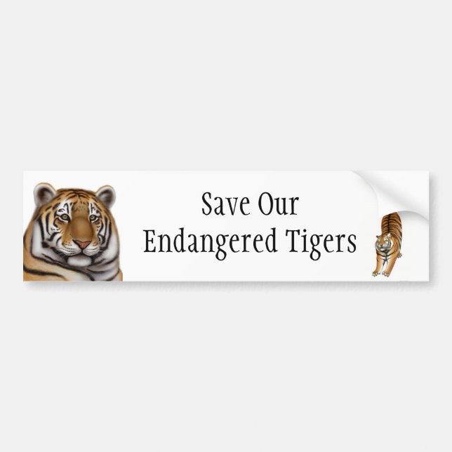 Save Our Endangered Tigers Bumper Sticker (Front)