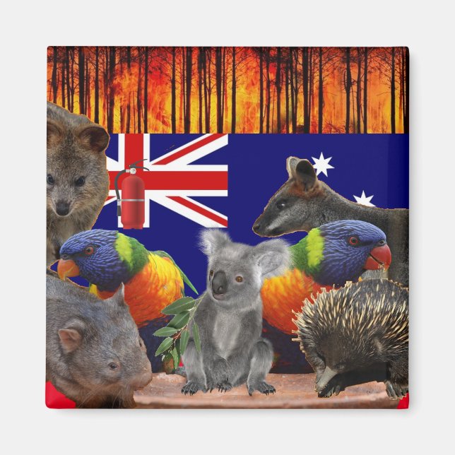 Save Our Homes - Extinguish Magnet (Front)