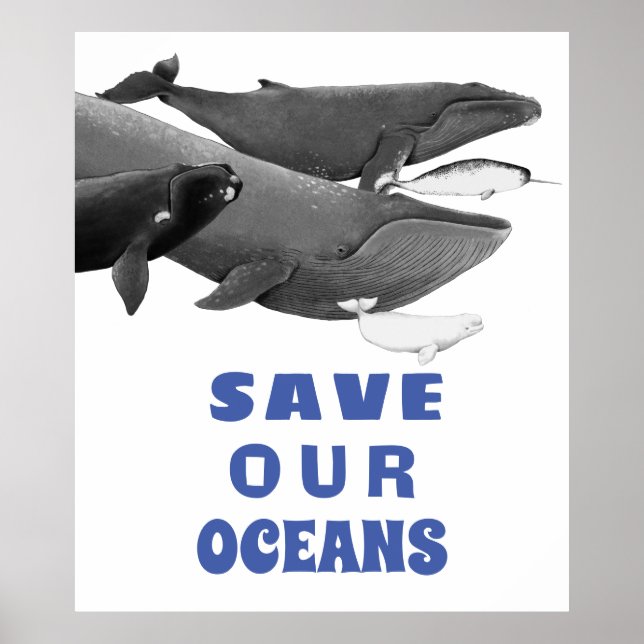 Save Our Oceans Environmental Art Whale   Poster (Front)