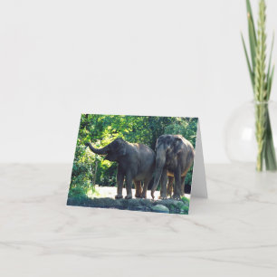Save Our Planet notecard featuring elephants