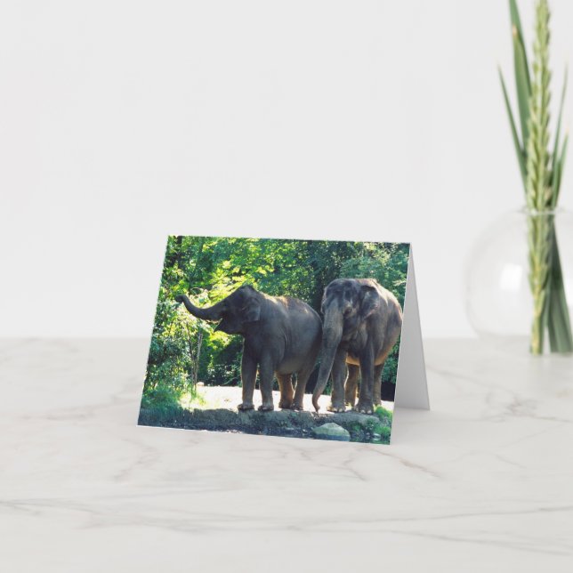 Save Our Planet notecard featuring elephants (Front)