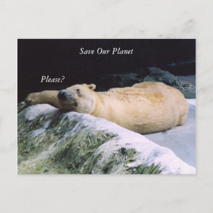 Save Our Planet series Polar Bear post card