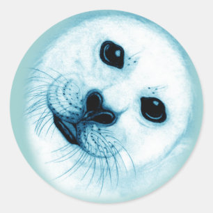 'Save our Seals' Baby Harp Seal