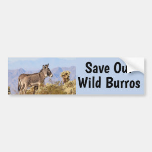 Save Our Wild Burros  Bumper Sticker