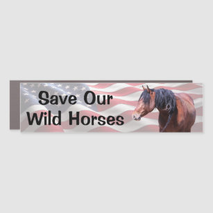 Save Our Wild Horses Bumper Car Magnet