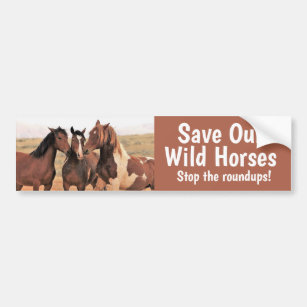 Save Our Wild Horses Bumper Sticker