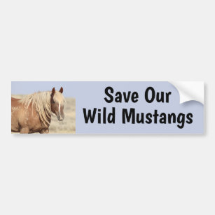 Save Our Wild Horses Bumper Sticker