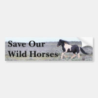 Save Our Wild Horses