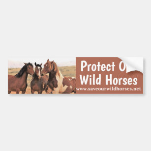 Save Our Wild Horses  Bumper Sticker