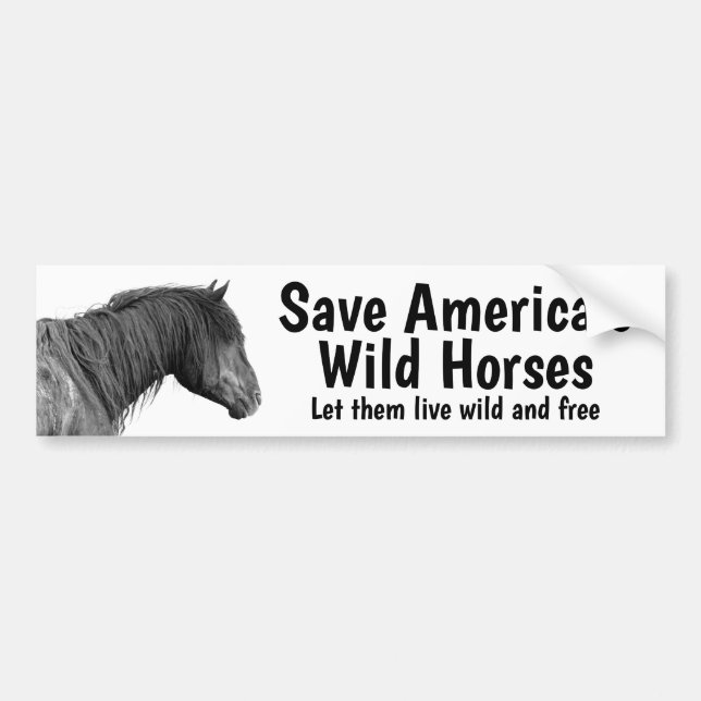 Save Our Wild Horses Bumper Sticker  (Front)