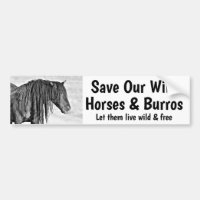 Save Our Wild Horses