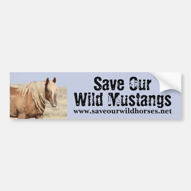 Save Our Wild Horses Bumper Sticker (Front)