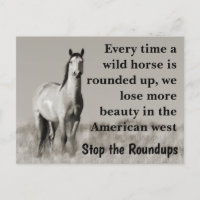 Save Our Wild Horses