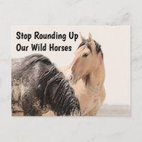 Save Our Wild Horses