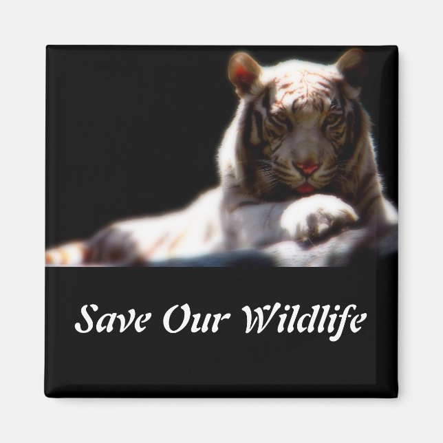 Save Our Wildlife Tiger Magnet (Front)