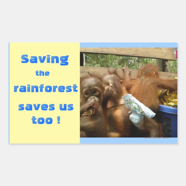 Save Rainforest and Cute Baby Orangutans Rectangular Sticker (Front)