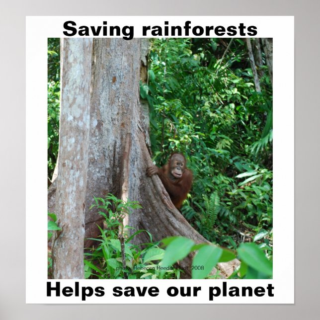 Save Rainforests Poster (Front)