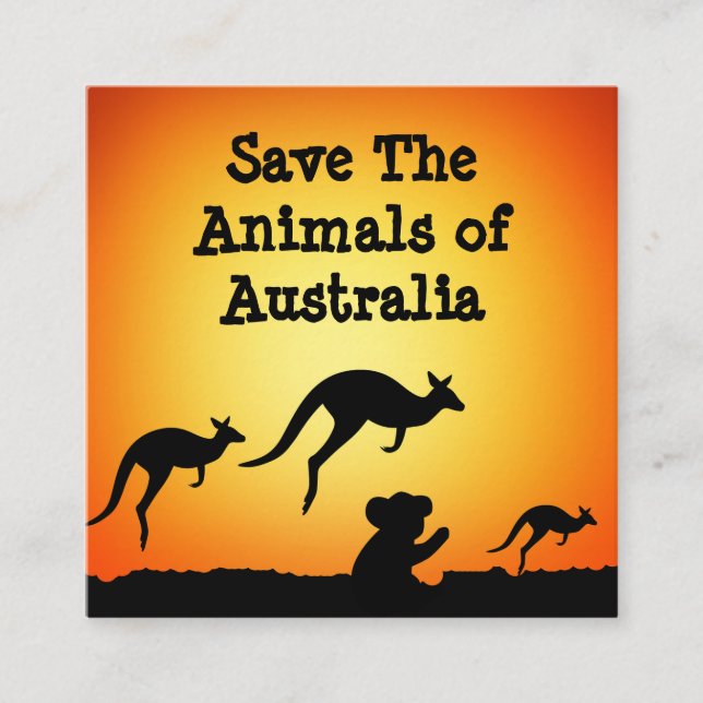 Save The Animals of Australia Square Business Card (Front)