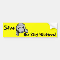 Save the Baby Manatees!